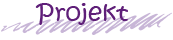 IBKM Projekt